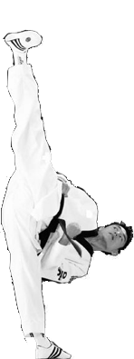 taekwondo kick